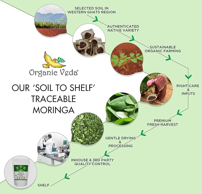 Organic Veda Moringa Tea Leaves - 100% Organic Dried Leaves - Moringa Oleifera Loose Leaf for Herbal Tea - Antioxidants Rich, Naturally Boosts Energy, Supports Digestion & Immune System - 7oz - Bloomnest
