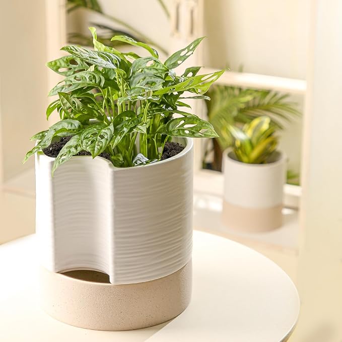 Nihow Self Watering Plant Pot: 8 Inch Ceramic Planter with Drainage Hole & Water Storage Plus for Indoor & Outdoor Plants - Cylinder Round Flower Pot for Succulent/Herbs/Violets - White & Brown - Bloomnest