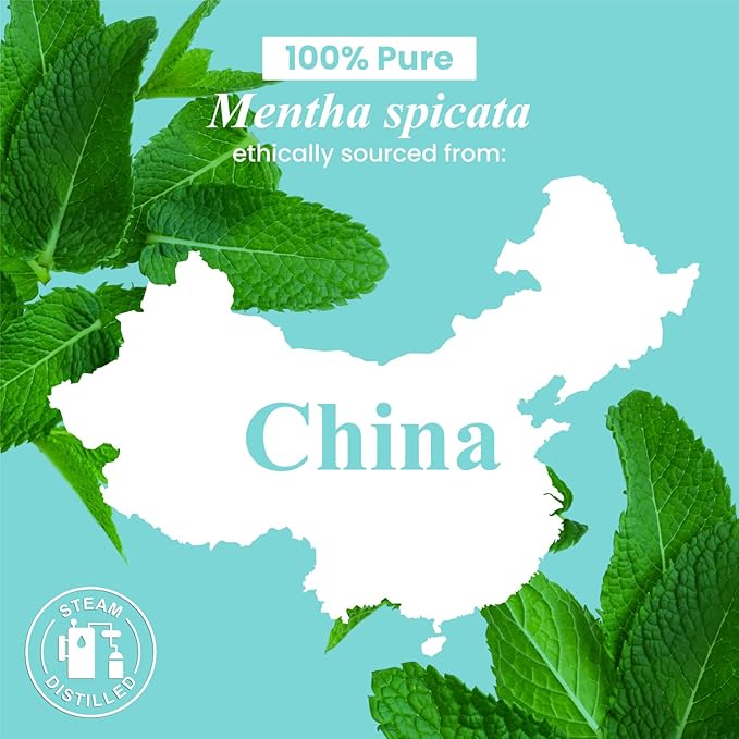 Handcraft Blends Spearmint Essential Oil – Huge 4 Fl Oz – 100% Pure and Natural – Premium Grade Essential Oil for Diffuser and Aromatherapy, Skin, Massage, Candle and Soap Making Fragrance - Bloomnest