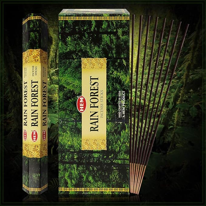 Rain Forest Incense Sticks and Incense Stick Holder Bundle Insence Insense Hem Incense Sticks