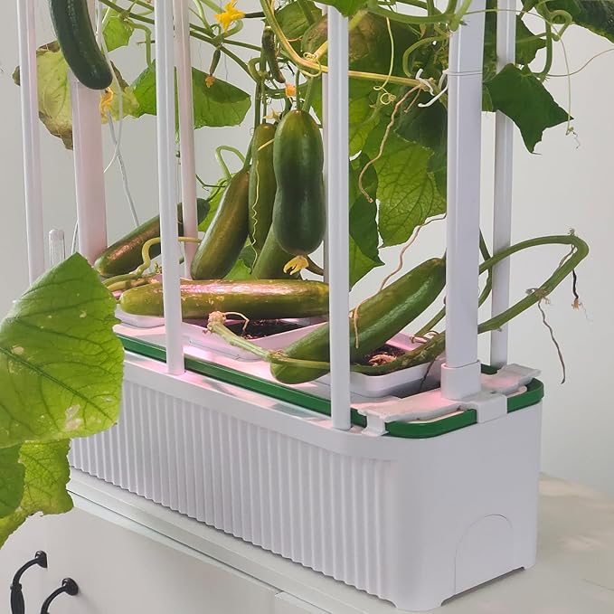 Large Hydroponics Growing System kit with Trellis,Smart Indoor Hydroponic Gardening System with LED Grow Light, Indoor Hydroponic Grow Kit for Tomato,Pepper,Cucumbers(7L,Pump) - Bloomnest