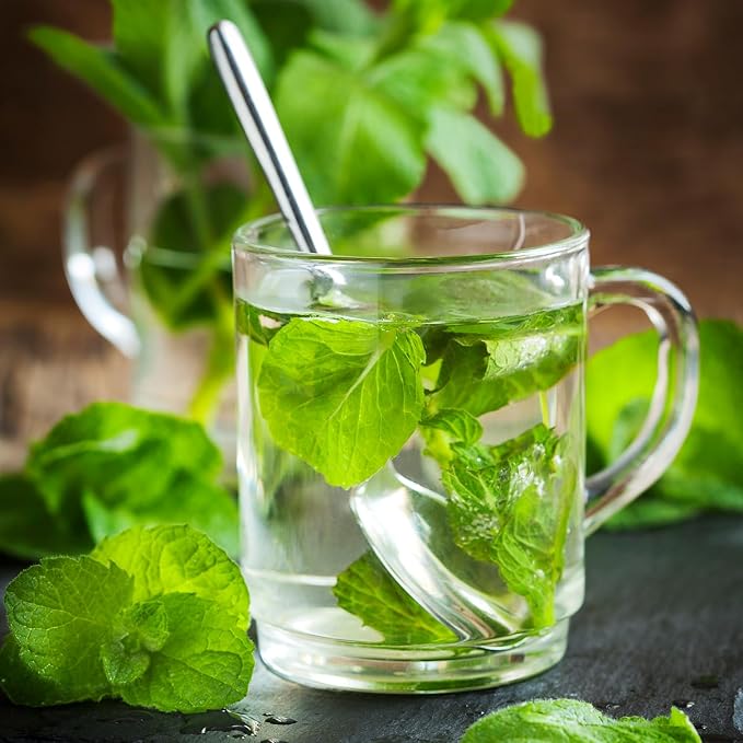 Mint Loose Leaf Tea 250g (8.8oz) – Refreshing Herbal Tea, Cooling Flavor, Caffeine-Free, 薄荷茶 - Bloomnest