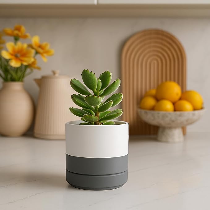 D'vine Dev Set of 2 Plants Pots, 4.7 Inch Ceramic Planter Pot for Plants with Drainage Hole and Saucer, White/Speckled Grey, 94-V-B-6 - Bloomnest