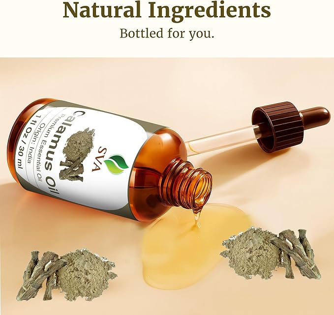 SVA Calamus Essential Oil – 1 Fl Oz – 100% Natural Calamus Oil - for Diffuser, Hair Care, Face, Skin Care, Aromatherapy, Scalp and Body Massage, Soap and Candle Making – with Dropper - Bloomnest