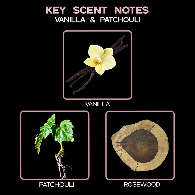 LOVSPA Reed Diffuser Set, Vanilla & Patchouli Scented Oil Diffuser with Sticks, Home Fragrance Accessories for Bathroom Shelf Decor, Aroma Diffusers for Home or Office Fall Decor, USA Made - Bloomnest