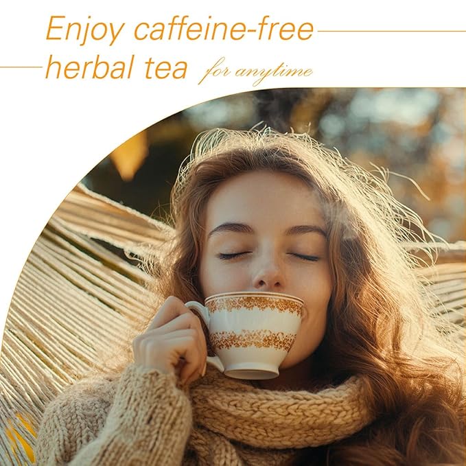 WT WEETEE Orange Spice Herbal Tea Bags, 2.5g x 50 Counts, Sweet Spices Tea Includes Cinnamon, Clove, Orange Peel, Rose Hips, Hibiscus & More, Natural Caffeine-free - Bloomnest