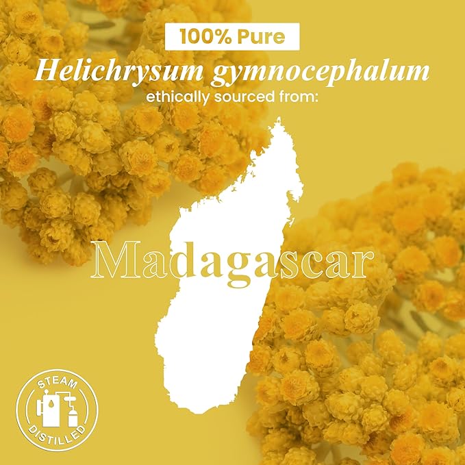 Handcraft Blends Helichrysum Essential Oil – 1 Fl Oz – 100% Pure and Natural – Premium Grade Essential Oil for Diffuser and Aromatherapy, Skin, Massage, Candle and Soap Making Fragrance - Bloomnest