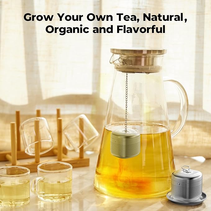 Reinmoson 2 Pack Tea Balls for Loose Tea, 304 Stainless Steel Extra Fine Mesh Tea Infusers for Loose Tea, Retractable Chain Design Tea Strainers for Loose Leaf Tea Single Cup, Come with 2 Drip Trays - Bloomnest