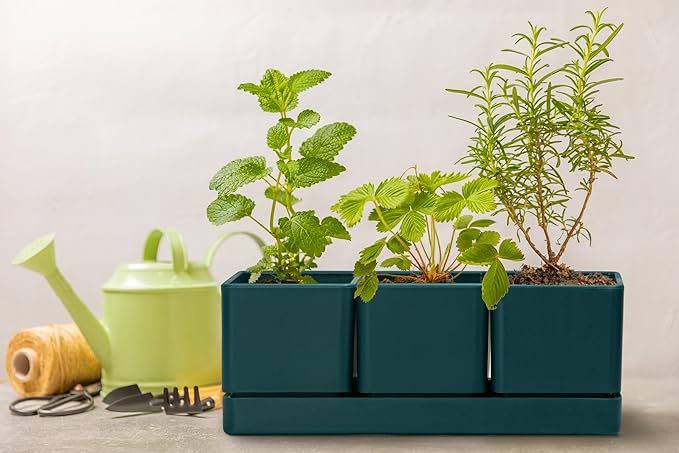 D'vine Dev Herb Garden Planter Set, Plastic Plant Pots with Drainage and Saucer, Indoor Succulent Cactus Vegetable Pot for Windowsill, Garden Balcony, Green, Set of 1, 76-V-C-1 - Bloomnest