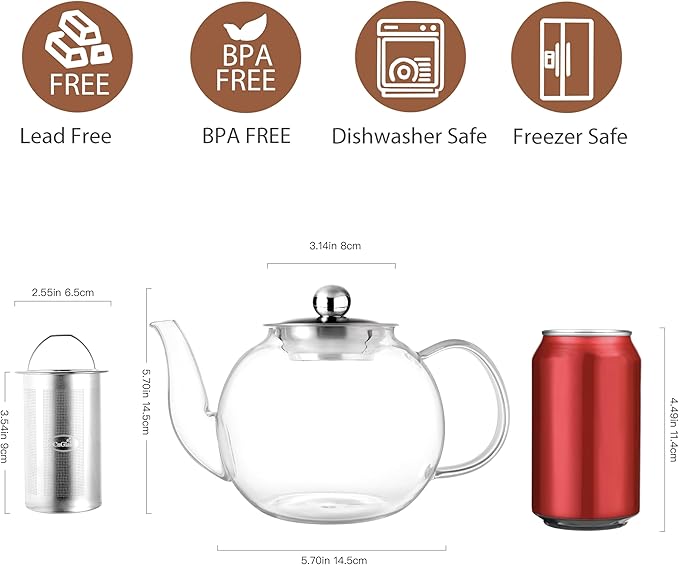 CNGLASS 40oz Glass Teapot with Removable Infuser,Clear Tea Kettle Stovetop Safe,Blooming and Loose Leaf Tea Maker Set - Bloomnest