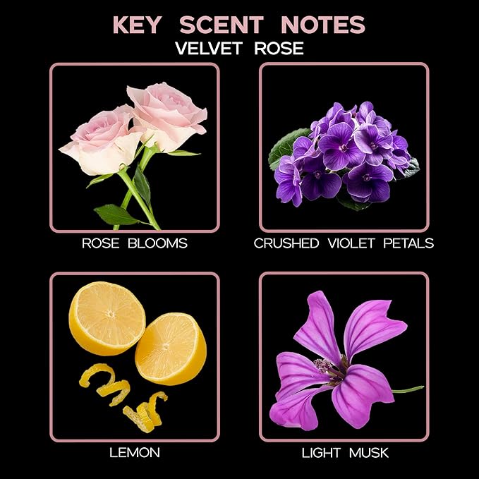 LOVSPA Reed Diffuser Set, Velvet Rose Scented Oil Diffuser with Sticks, Home Fragrance Accessories for Bathroom Shelf Decor, Aroma Diffusers for Home or Office Desk, USA Made - Bloomnest