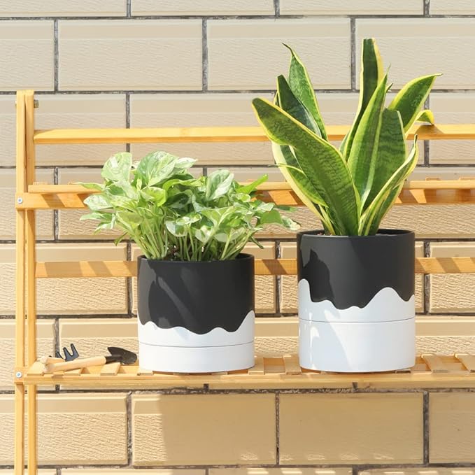 Nihow Self Watering Plant Pot: 6 Inch Ceramic Planter with Drainage Hole & Water Storage Plus for Indoor & Outdoor Plants - Cylinder Round Flower Pot for Succulent/Herbs/Violets - Black & Wave White - Bloomnest