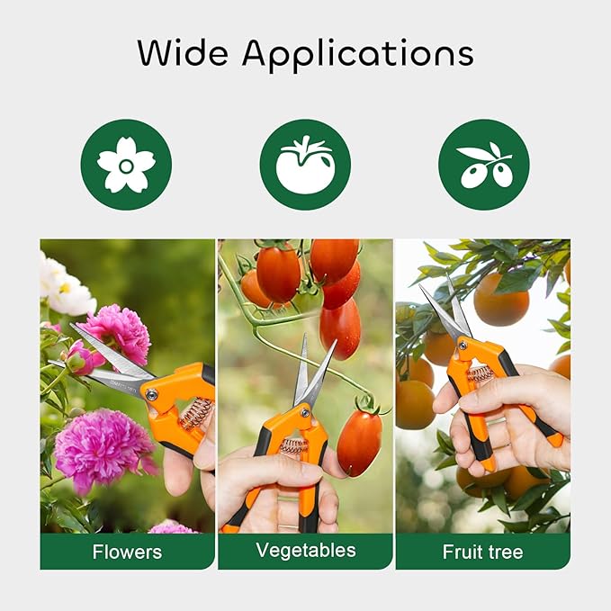 GROWNEER 6 Packs Pruning Shears Gardening Hand Pruning Snips with Straight Stainless Steel Precision Blades - Bloomnest