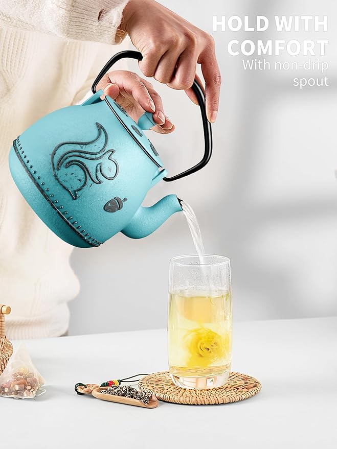 Toptier Teapot with Removable Infuser, Cast Iron Tea Kettle Stovetop Safe, Squirrel Design Tea Pot Coated with Enameled Interior for 32 Ounce (950 ml), Blue - Bloomnest