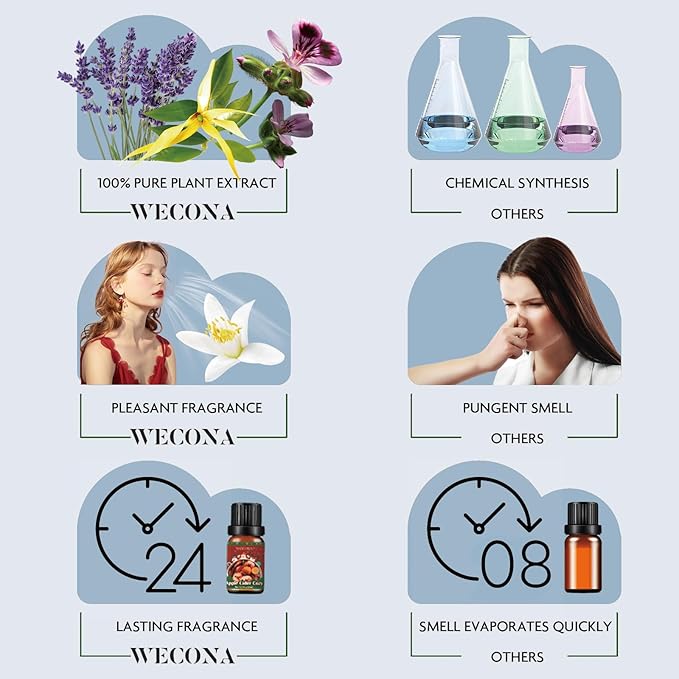 Christmas Essential Oils for Diffuser - Holiday Essential Oils Gift Set, 6 x 10ml Christmas Scents Including Gingerbread, Candy Cane, Apple Cider and More - Winter Diffuser Oils for Home - Bloomnest