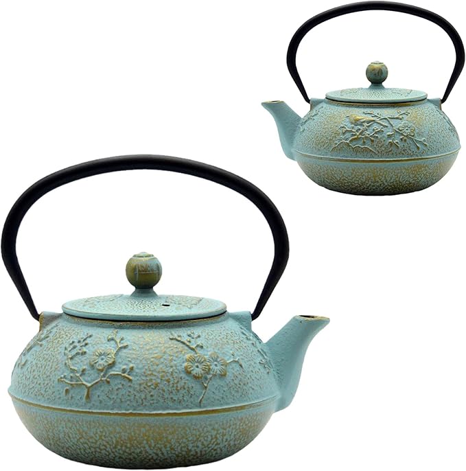 30.4oz Small Cast Iron Tea Kettle,SECHUDO Tea Pot Coated with Enameled Interior for Loose Tea, Cute Cast Iron Teapot with Stainless Steel Infuser for Stovetop Safe (900ml) - Bloomnest