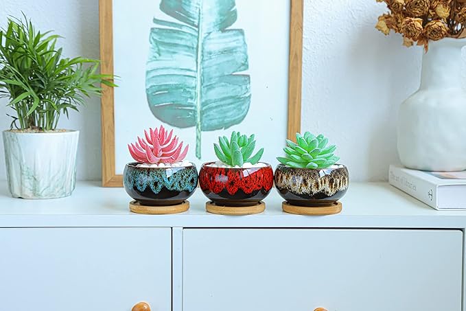 Cute Ceramic Succulent Garden Pots, Planter with Drainage and Attached Saucer, Set of 5 -Plants Not Included (Round) - Bloomnest