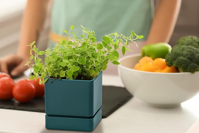 4 Inch Herb Planter Pot, Plastic Planter with Drainage Holes and Saucer, Modern Decorative Gardening Pot for Indoor Plants, Flowers, Herbs, Succulents, Green, Set of 4, 76-Y-C-4 - Bloomnest