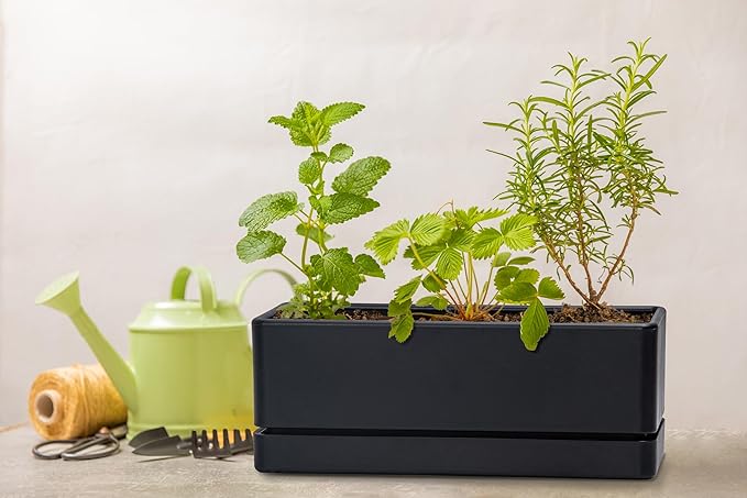 D'vine Dev 12 Inch Window Box Planter, Rectangle Plastic Herb Planter with Drainage Holes and Saucer, Indoor Succulent Cactus Vegetable Pot for Windowsill, Garden Balcony, Black, Set of 2, 76-X-B-2 - Bloomnest