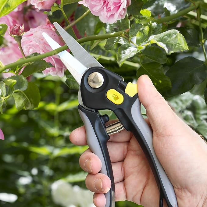 Jardineer Pruning Shears for Gardening, 3Pack Stainless Steel Garden Shears Set include Bypass Hand Pruner, Anvil Pruning Scissor, Pruning Snips for Flowers, Herbs and Small Branches - Bloomnest