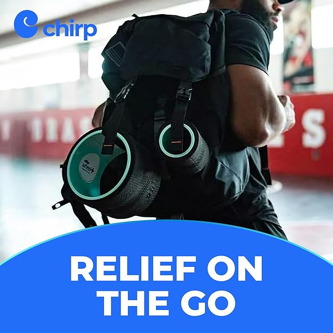 Chirp Wheel Foam Roller – Targeted Back & Neck Relief, Lumbar Spine Stretcher, Spinal Decompression Back Stretcher, Massage Roller with Density Foam for Physical Therapy, Supports 500lbs, 6-Inch Mint