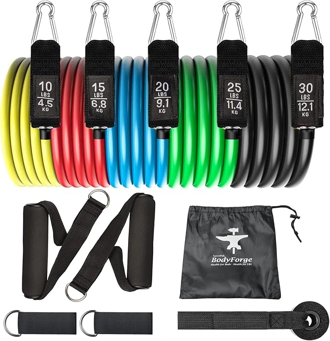 BodyForge Resistance Bands, Exercise Bands, Resistance Bands for Working Out, Work Out Bands with Handles for Men and Women Fitness, Strength Training Home Gym Equipment - Bloomnest