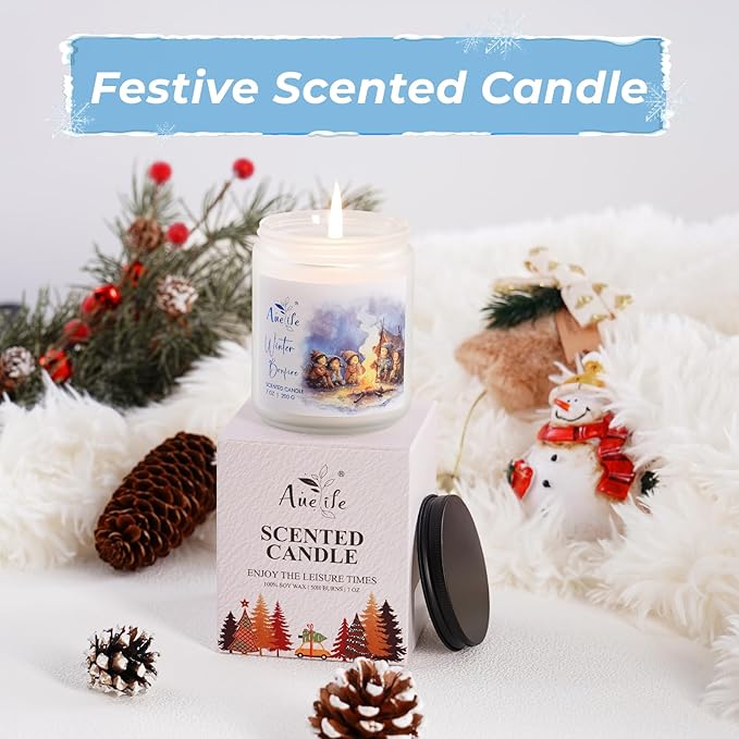 Winter Candles | Eucalyptus & Cedar Scented Soy Candle - Winter Aromatherapy Candles for Relaxing Home Décor, Cozy Holiday Gift for Women & Men, Long Lasting Clean Burn Candle - Bloomnest