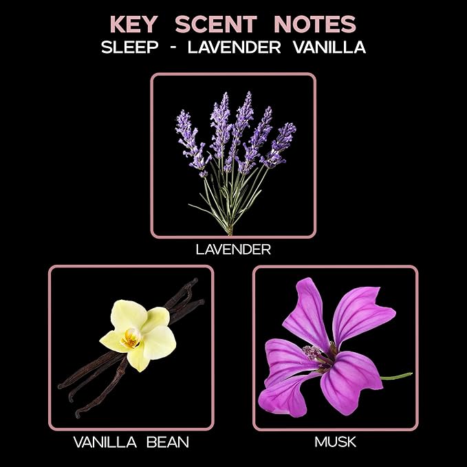 LOVSPA Reed Diffuser Set, Lavender Vanilla Scented Oil Diffuser with Sticks, Home Fragrance Accessories for Bathroom Shelf Decor, Aroma Diffusers for Home or Office Desk, USA Made - Bloomnest