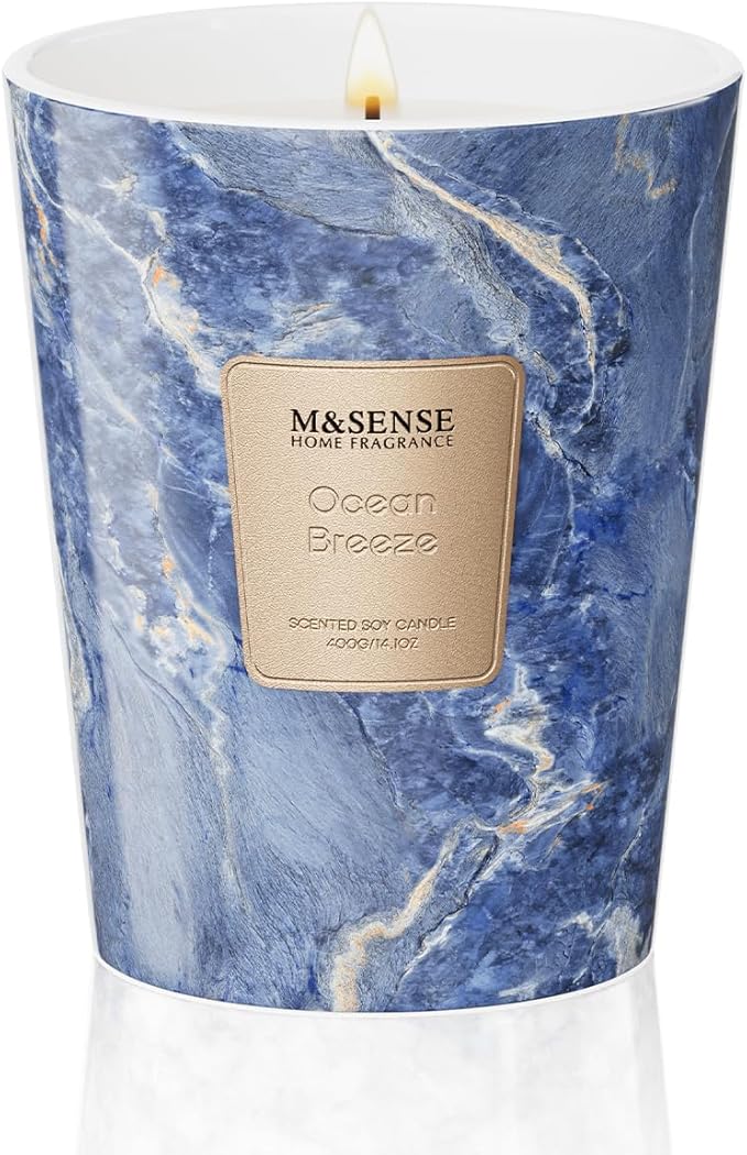 M&SENSE Ocean Breeze Scented Candles for Home, Lead-Free Wick Highly Scented Jar Candles, 14.1 Oz 80 Hours Lasting Burning Candles Gifts for Women, Relaxing Aromatherapy Candle for Stress Relief - Bloomnest