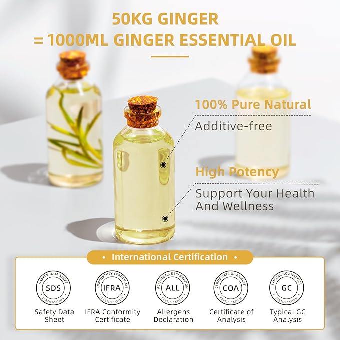 HIQILI 32 Fl Oz Ginger Oil, 100% Pure Natural Ginger Essential Oil for Hair, Massage, Skin - 1000ML - Bloomnest