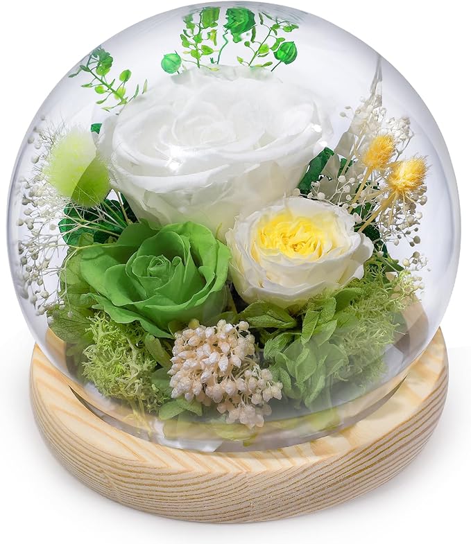 FIACO Preserved Rose Birthday Gift for Women Forever Fresh Flowers for Prime Delivery Gift for Mom Grandma Wife Valentines Mothers Day Christmas Anniversary Eternal Roses in Glass Dome - Bloomnest