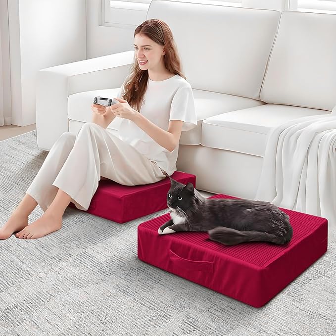 Large Floor Pillows for Adults, Thick Meditation Floor Cushions for Sitting Yoga, 22x22x5 Foam Seat Cushions Set of 2 for Furniture, Floor Pillow with Pleated Velvet Removable Cover, Burgundy