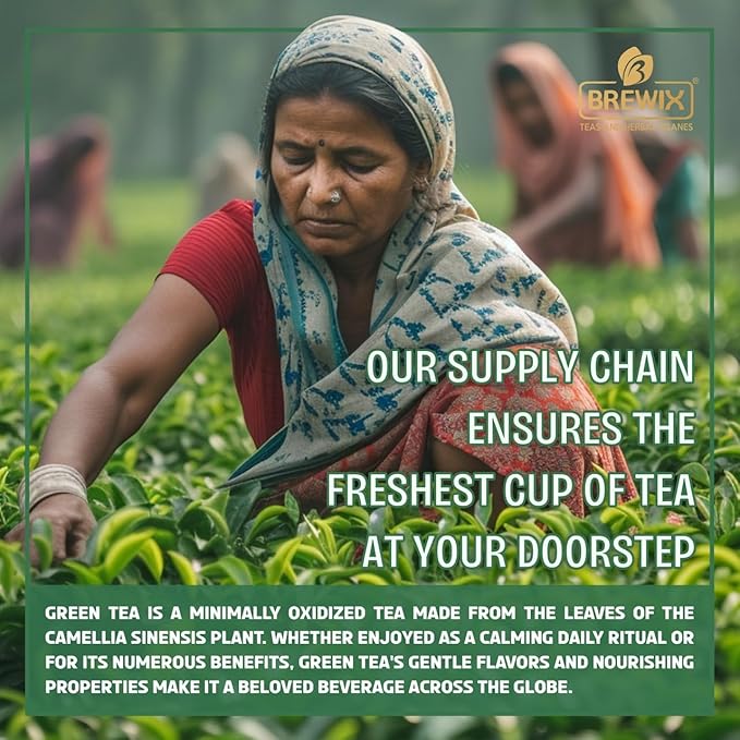 BREWIX, Green Tea Loose Leaf (50+ Cups, 3.53oz/100g) Gluten Free I High Elevation Grown Green Tea Leaves | Pure Single Origin Sourced Direct from India - Bloomnest