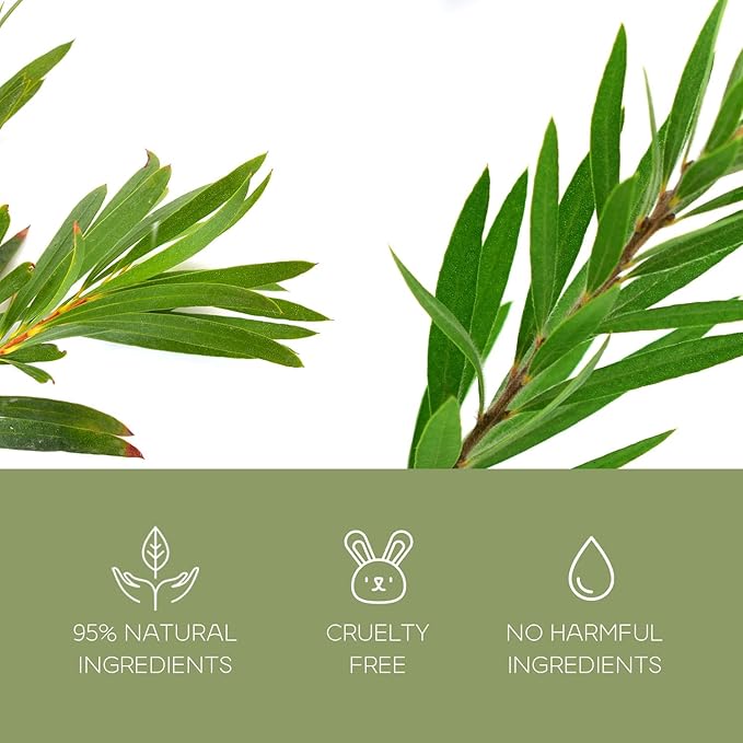Charcoal & Tea Tree Peel-Off Face Mask - Blackhead Remover, Acne Treatment, Unclogs Pores, Deep Cleansing - Dermatologist Tested Korean Skincare, Clean Beauty, Cruelty-Free - 6.7 Fl oz - Bloomnest