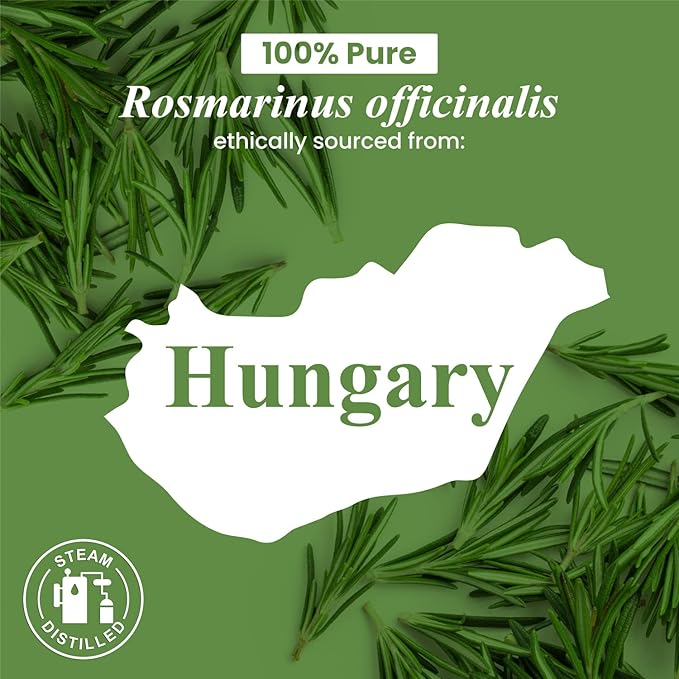 Handcraft Blends Rosemary Essential Oil – Huge 4 Fl Oz – 100% Pure and Natural – Premium Grade Essential Oil for Diffuser and Aromatherapy, Skin, Massage, Candle and Soap Making Fragrance - Bloomnest