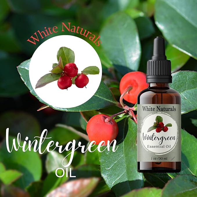 Wintergreen Essential Oil,100% Pure Natural Organic Therapeutic Grade for Aromatherapy Diffuser, Winter Green Oil for Inhalation Therapy, DIY Soap Candle Making, Refreshing, Crisp & Woodsy Scent - Bloomnest