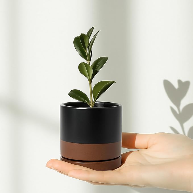 D'vine Dev Set of 2 Plants Pots, 3.5 Inch Ceramic Planter Pot for Plants with Drainage Hole and Saucer, Black/Speckled Tan, 94-V-A-7 - Bloomnest