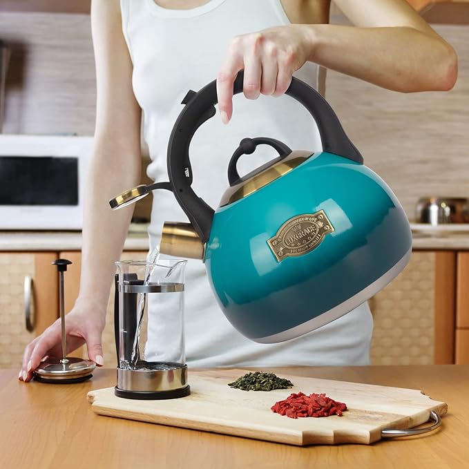 Tea Kettle Stovetop Whistling Kettle Teapot, Food Grade Stainless Steel Teakettle for Stove Top with Heat Proof Ergonomic Handle, 3.1 Quart Tea Pot - Bloomnest