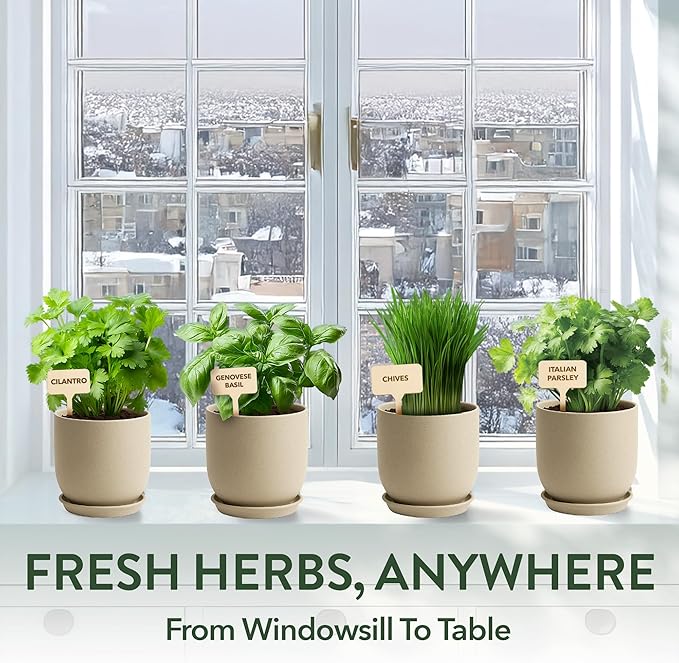 HOME GROWN Organic Herb Garden Kit – 4 Herb Seeds, Soil, Pots, Tools & Grow Guide – Grow Basil, Parsley, Cilantro & Thyme Indoors – USDA Organic, Non-GMO, Ideal Gift for Christmas & Thanksgiving - Bloomnest