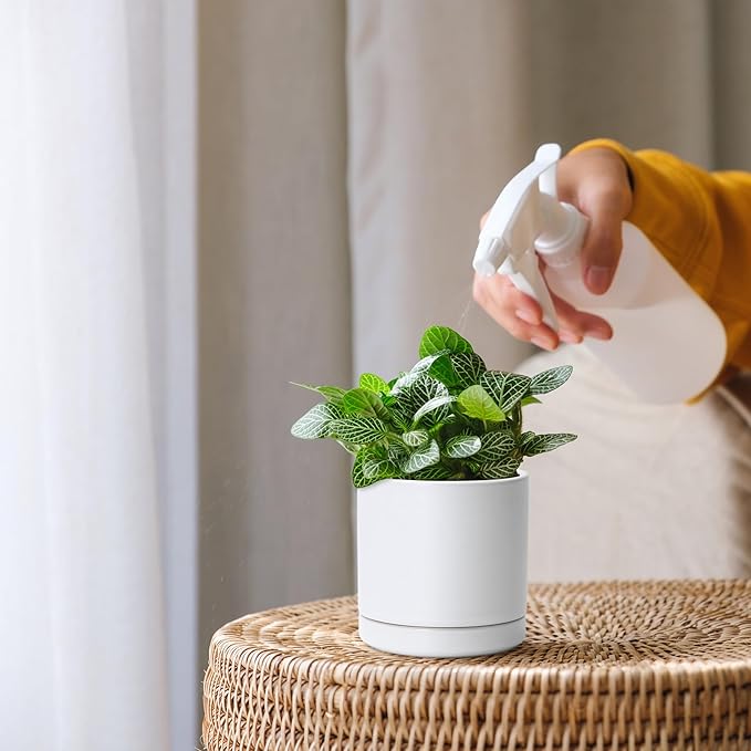 D'vine Dev Set of 2 Plants Pots, 3.5 Inch Ceramic Planter Pot for Plants with Drainage Hole and Saucer, White, 94-V-A-1 - Bloomnest