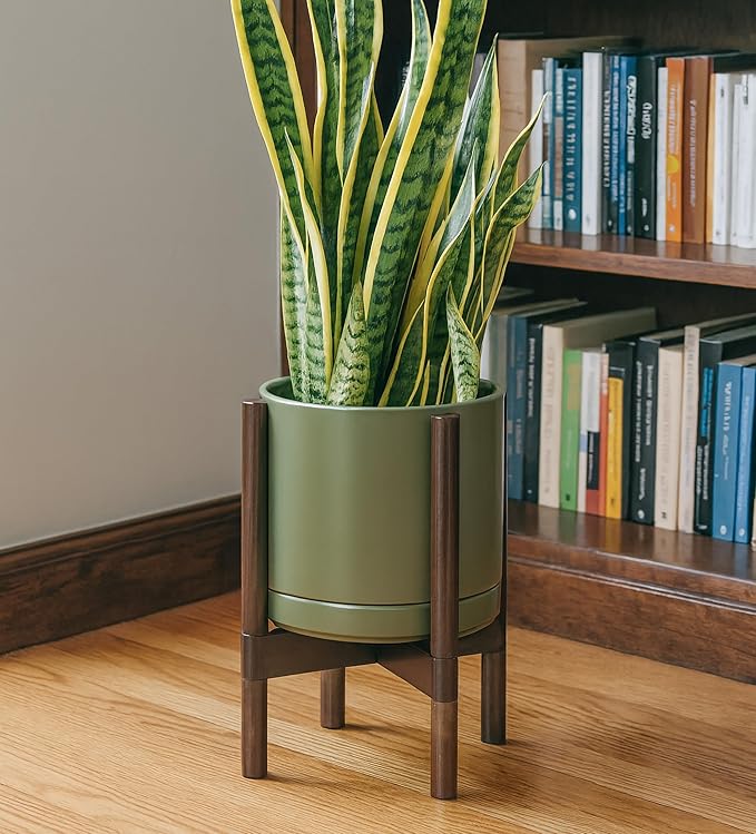 D'vine Dev Ceramic Planter with Walnut Color Stand - 10 Inch Modern Round Flower Pot with Wood Planter Holder, Olive, 55-B-X-J - Bloomnest