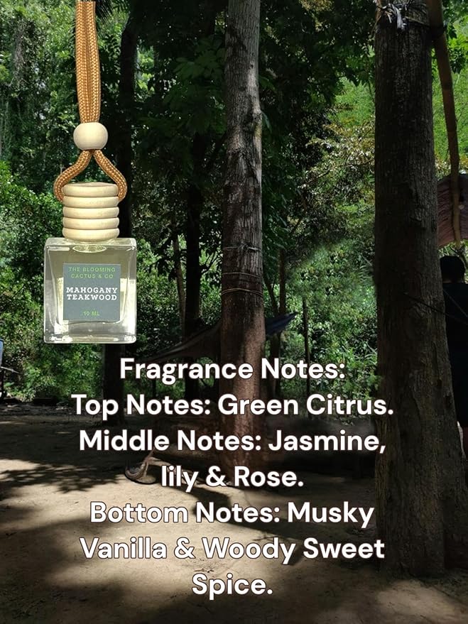 Car Air Freshener Hanging, Essential Oil Diffuser for Cars 1 OZ, Cute Car Accessories, C ar Air Freshener Refill, Long-Lasting Fragrance Refill, Car Diffuser Refill Made in USA | Mahogany Teakwood - Bloomnest