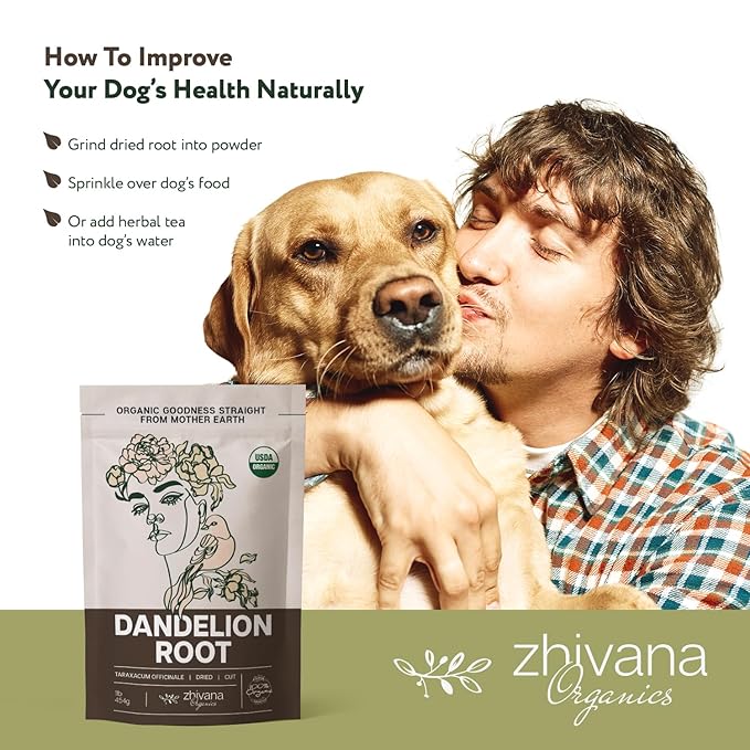 Dandelion Root Tea Loose (16 oz.) – Organic Dandelion Root Herb - Te de Diente de Leon Organico Natural - Liver Cleanse, Digestion, Liver Detox - Bloomnest