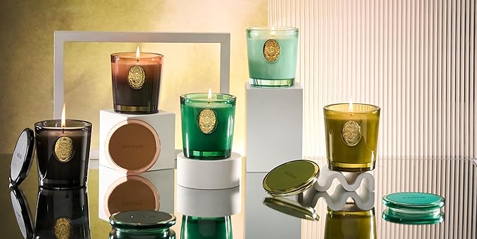 M&SENSE Natural Soy Candle | Evergreen Pine & Emerald Green | 9.2 oz, 50H Burn Time | Luxury Scented Candle for Relaxation, Gifting, Home Décor | Ideal for Bedroom, Office, Party Ambiance - Bloomnest
