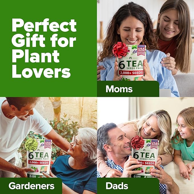 HOME GROWN Medicinal Herb Seeds Vault β 2,000+ Seeds, 6 π‘π’π‘-ππ π’ π¨π¦π Heirloom Varieties for Indoor & Outdoor Garden β Lavender, Chamomile,Mint,Lemon Balm,Peppermint,Echinacea +Garden Markers