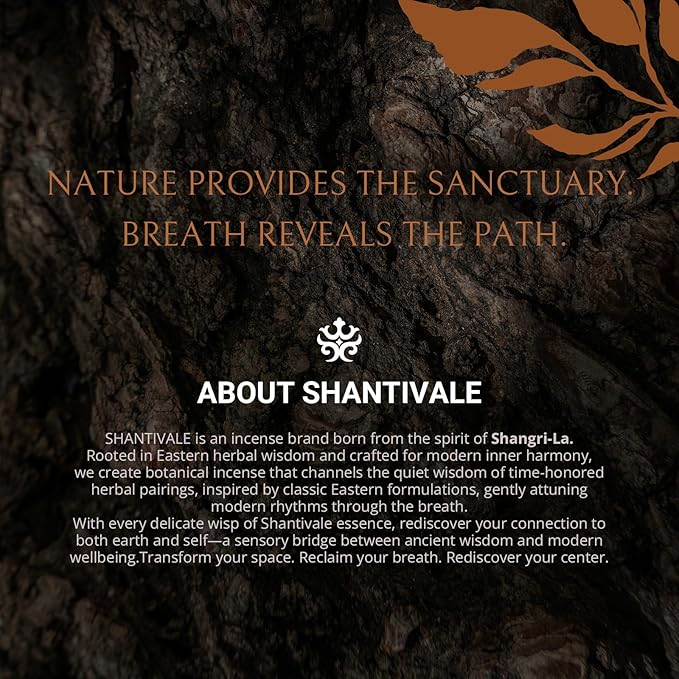 100% Natural Incense Sticks with Holder, Cinnamon Incense Sticks for Energy Boosting, Invigorating Meditation & Yoga | 40-Minute Burn, Low Smoke, Non-Toxic, Gifts for Women SHANTIVALE