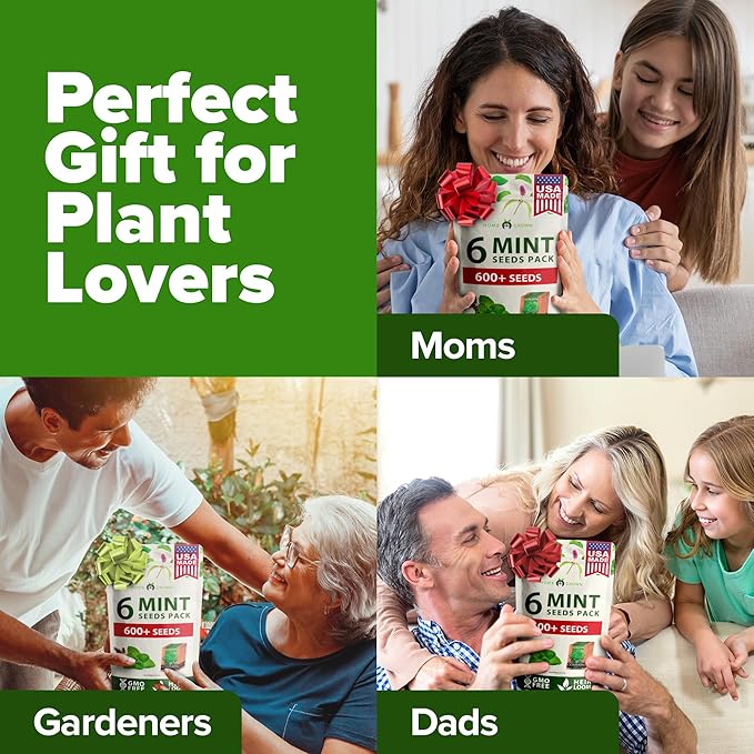 6 Mint Varieties β 600+ Heirloom Herb Seeds π‘π’π‘-ππ π’ π¨π¦π Peppermint, Spearmint, Mountain, Wild, Anise Hyssop, Common Mint | Indoor Outdoor Garden, Pots, Tea, Medicinal Use - Bloomnest