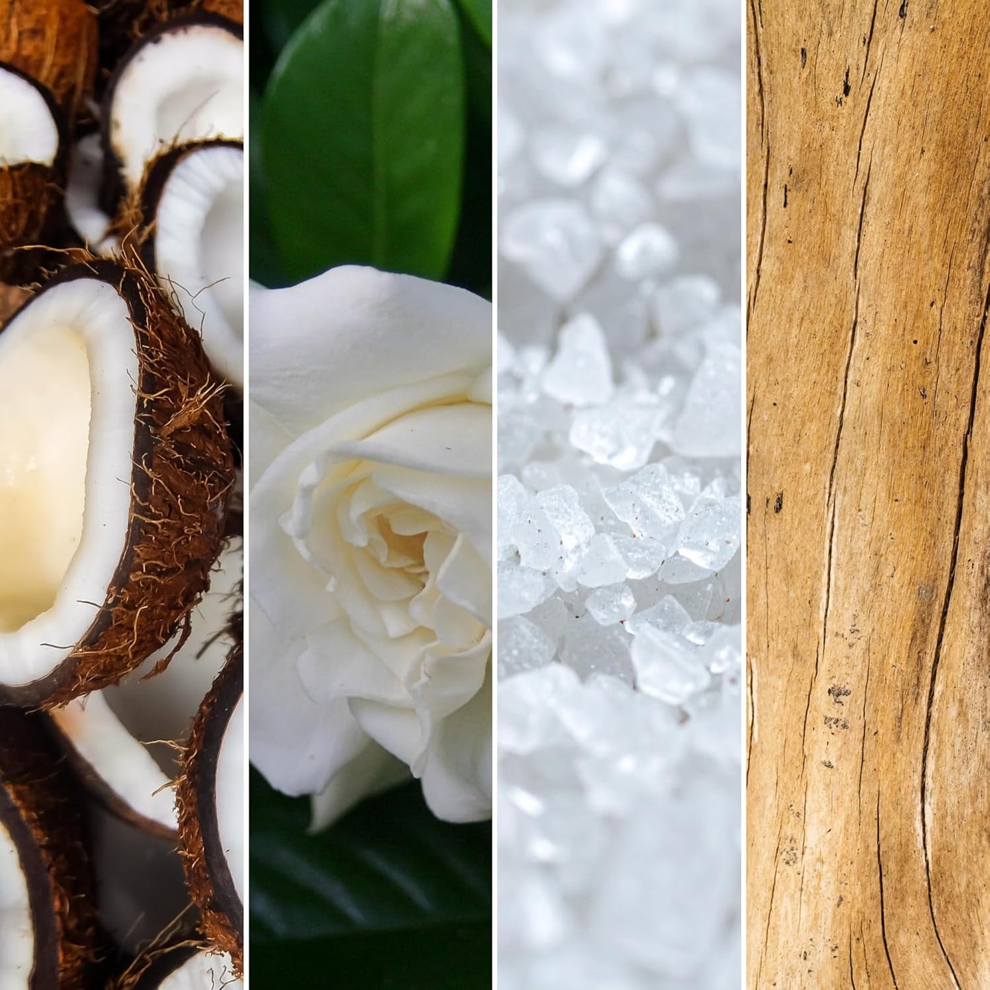 Journeyman Collection Candle, 15oz, Wooden Wick, Sea Driftwood, Large Painted Jar