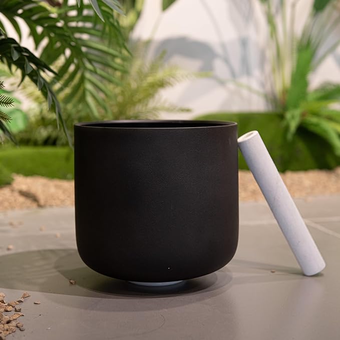 TOPFUND Black G# Note Crystal Singing Bowl Zeal Chakra 8" with Heavy Duty Carrying Case and Suede Mallet - Bloomnest