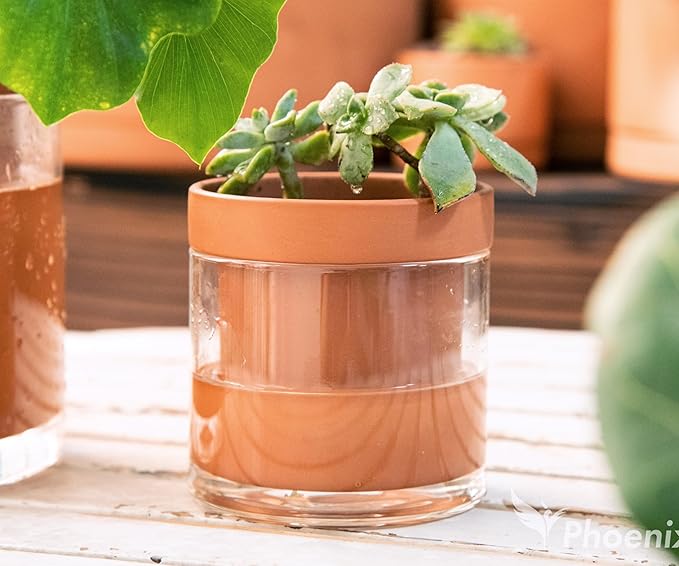 Phoenix Vine 4 Inch Self Watering Planter Pot, Terracotta Clay Pot with Glass Reservoir for Indoor Plants, Herbs, Flowers, Set of 3, 52-A-E-3 - Bloomnest